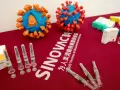 Indonezja przygotowana na szczepienia. Wiralne modele wirusa i strzykawki z preparatem Sinovac.