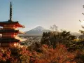 Piękna pagoda i góra Fudżi. Zastanawiasz się, czy do Japonii potrzebna jest wiza? Sprawdź przed podróżą!