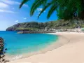 Piękne madera plaże z turkusową wodą, piaszczystym brzegiem i zielonymi wzgórzami w tle. Palmy rzucają cień na ten rajski zakątek.