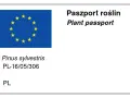 Jak czytać paszport roślin i uniknąć problemów z identyfikacją