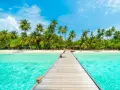 Drewniany pomost prowadzi do rajskiej plaży z palmami. Idealne miejsce na malediwy loty i relaks.