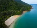 Zielona, gęsta dżungla schodzi do piaszczystej plaży na wyspie Langkawi. Turkusowe morze delikatnie faluje przy brzegu.