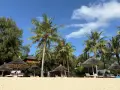 Rajska plaża na Zanzibarze z palmami, leżakami i słomianymi parasolami. Idealne miejsce na wymarzone wakacje.