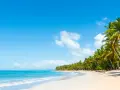 Rajska plaża z palmami i turkusową wodą. Tak właśnie wyglądają Karaiby, gdzie leżą te rajskie wyspy.