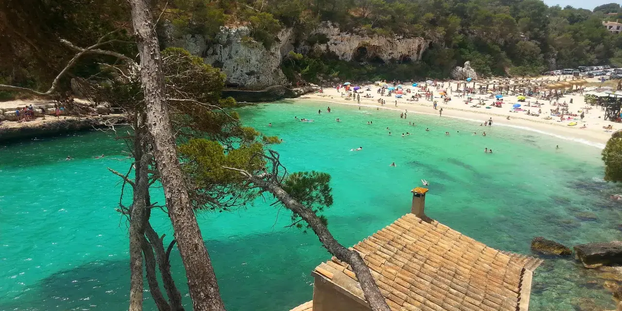 Malownicze majorka plaże z turkusową wodą, skalistymi klifami i sosnami. W oddali widać tłumy plażowiczów i mały domek z ceglanym dachem.