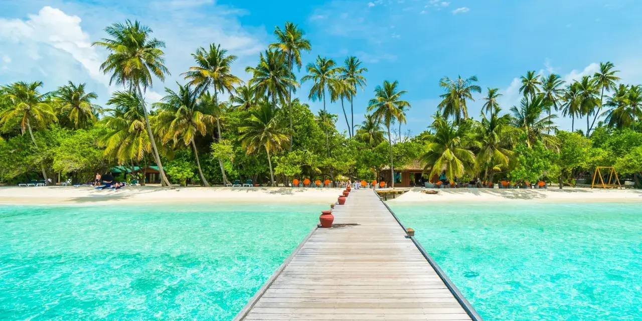 Drewniany pomost prowadzi do rajskiej plaży z palmami. Idealne miejsce na malediwy loty i relaks.
