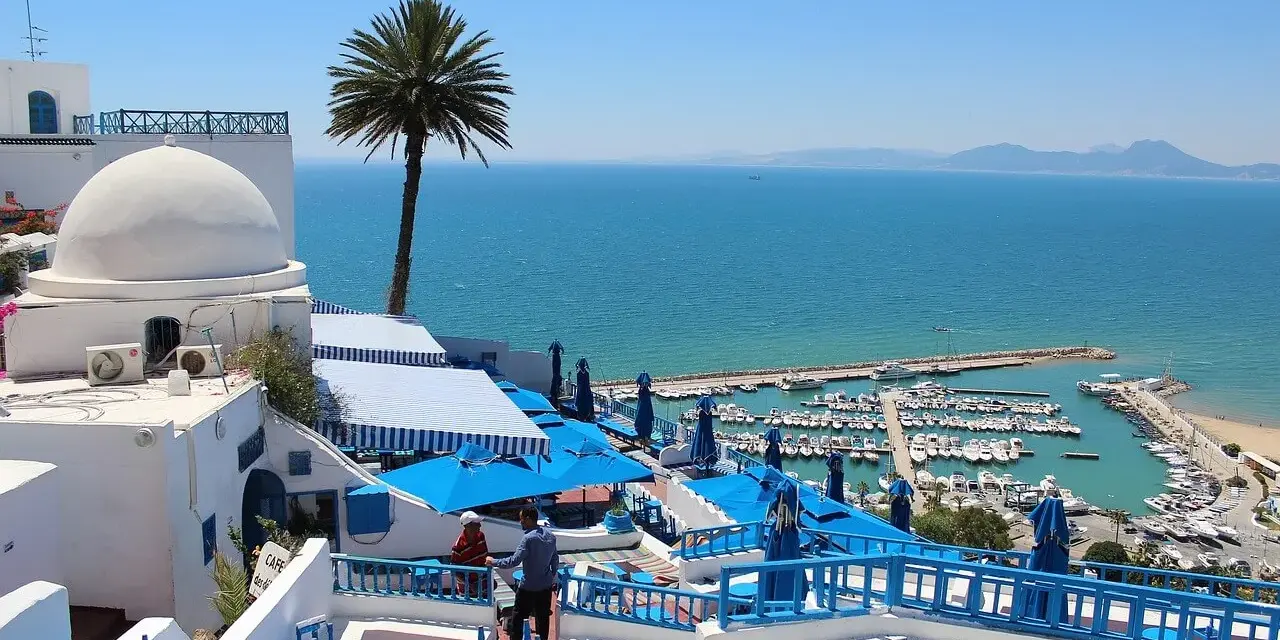 Widok na port i morze z białej zabudowy z palmą. Djerba na co uważać? Upał i słońce, ale widoki wynagradzają wszystko.