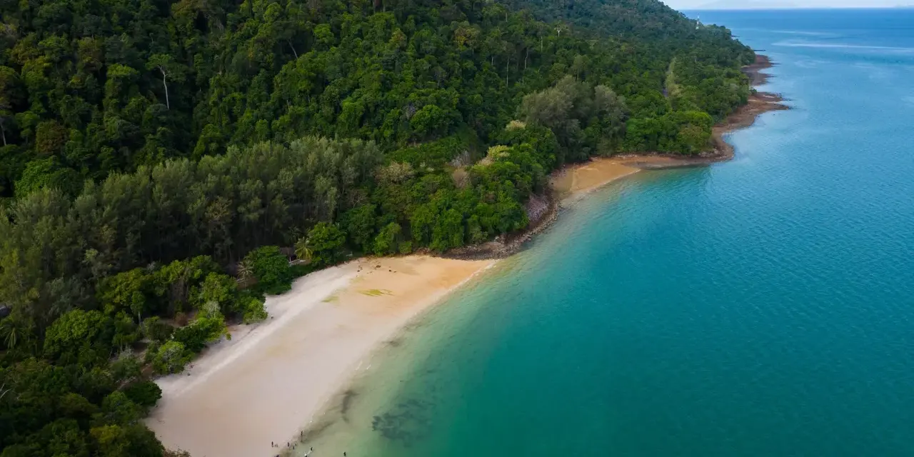 Zielona, gęsta dżungla schodzi do piaszczystej plaży na wyspie Langkawi. Turkusowe morze delikatnie faluje przy brzegu.