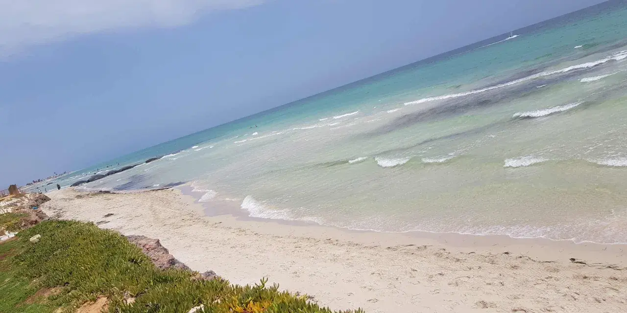 Piękne, piaszczyste djerba plaże z turkusową wodą i zieloną roślinnością.