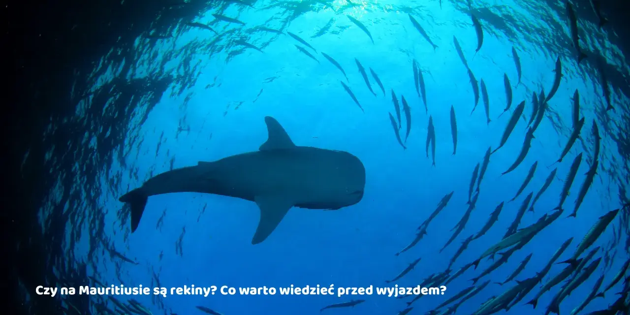 Mauritius czy jest bezpiecznie? Odkryj, co musisz wiedzieć przed wyjazdem
