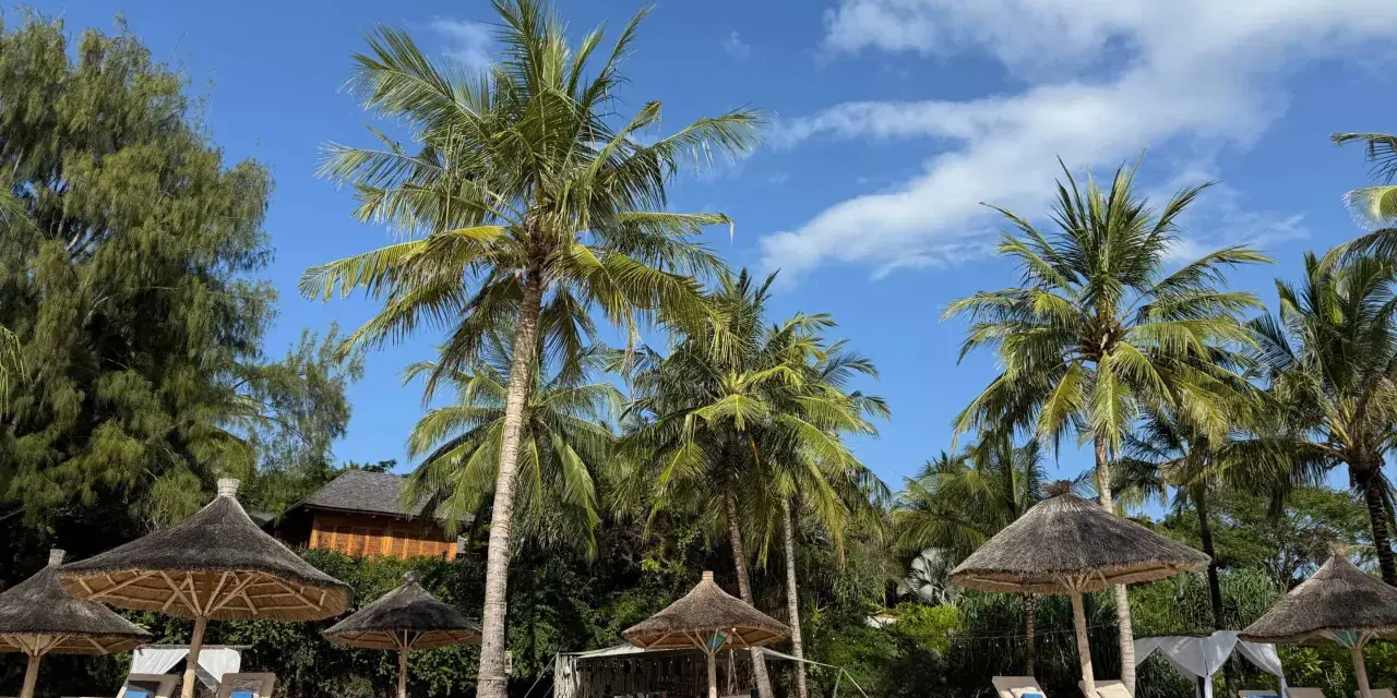 Rajska plaża na Zanzibarze z palmami, leżakami i słomianymi parasolami. Idealne miejsce na wymarzone wakacje.