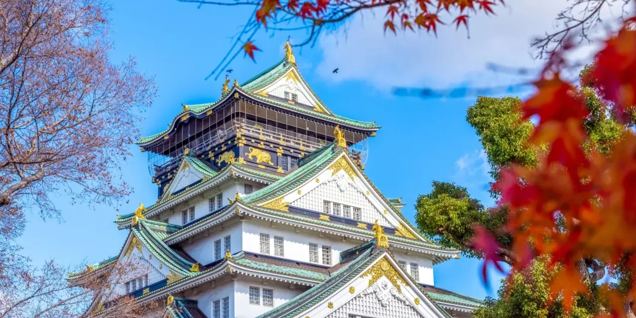 Zamek Osaka w jesiennej odsłonie, otoczony kolorowymi liśćmi klonu. Jedno z najpiękniejszych miejsc w Japonii.