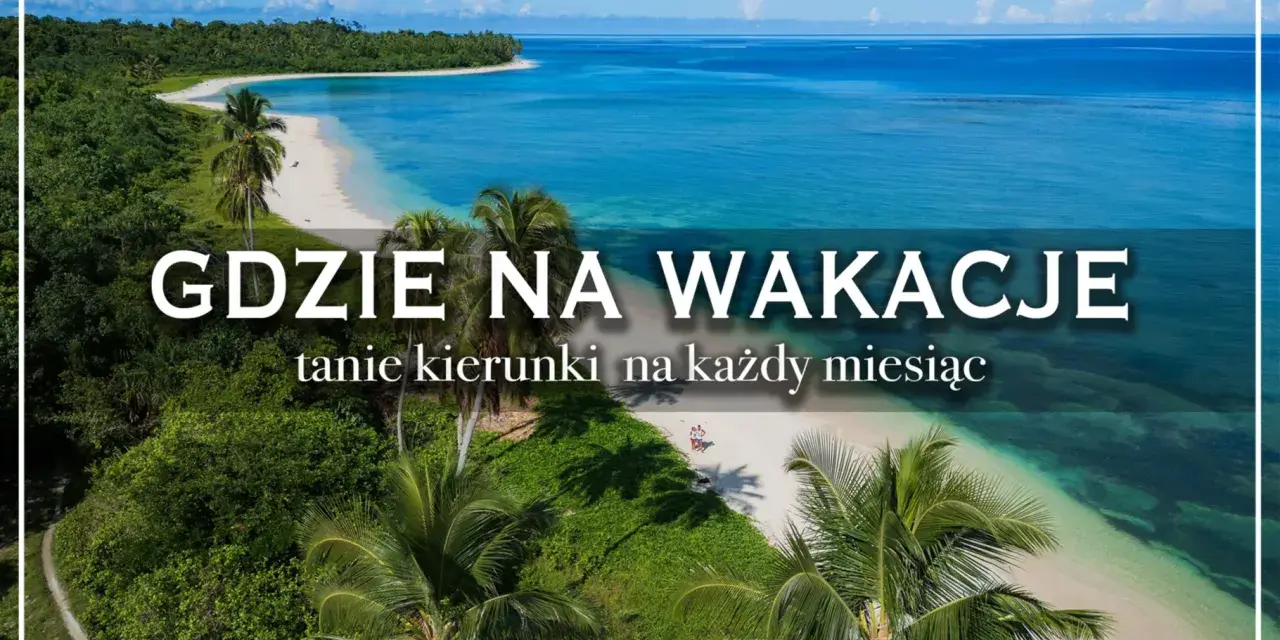 Rajska plaża z palmami i turkusową wodą. Idealne miejsce na odkrywanie popularnych kierunków na wakacje.