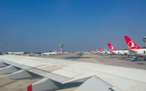 Samoloty Turkish Airlines na płycie lotniska, gotowe do odbioru bagażu pasażerów.