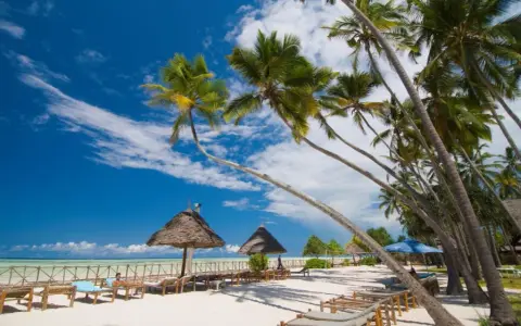 Ile trwa lot z Poznania na Zanzibar? Zaskakujące czasy przesiadek