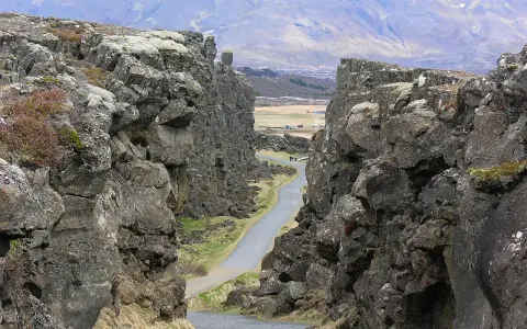 Wąwóz w Parku Narodowym Þingvellir, część Złotego Kręgu Islandii. Kamienne ściany i droga wiodąca w głąb krajobrazu.