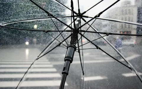 Przezroczysty parasol w bagażu podręcznym chroni przed deszczem na ulicy. Krople wody na materiale.