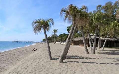 Plaża w Marbelli z palmami, piaskiem i budynkiem z krytym strzechą dachem. W oddali widać molo i błękitne morze.