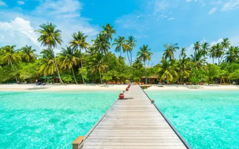 Drewniany pomost prowadzi do rajskiej plaży z palmami. Idealne miejsce na malediwy loty i relaks.