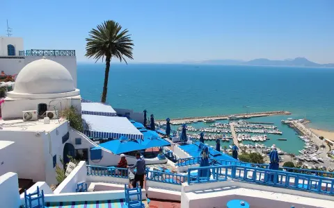 Widok na port i morze z białej zabudowy z palmą. Djerba na co uważać? Upał i słońce, ale widoki wynagradzają wszystko.