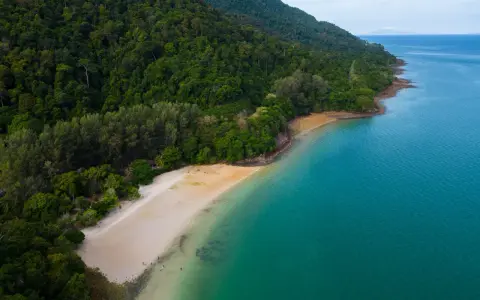 Zielona, gęsta dżungla schodzi do piaszczystej plaży na wyspie Langkawi. Turkusowe morze delikatnie faluje przy brzegu.
