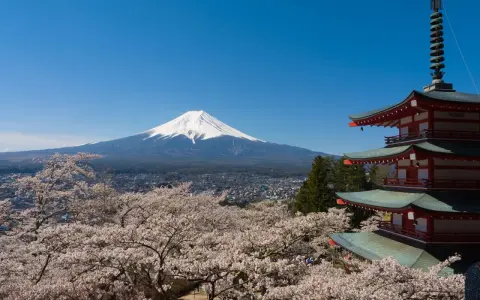 Widok na najwyższy szczyt Japonii, górę Fudżi, otoczoną kwitnącymi wiśniami i tradycyjną pagodą.