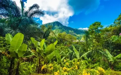 Ile kosztuje lot na Madagaskar? Ceny biletów, które zaskoczą