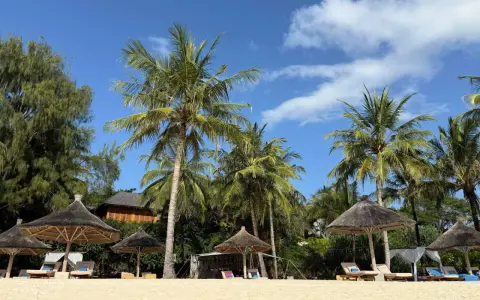 Rajska plaża na Zanzibarze z palmami, leżakami i słomianymi parasolami. Idealne miejsce na wymarzone wakacje.
