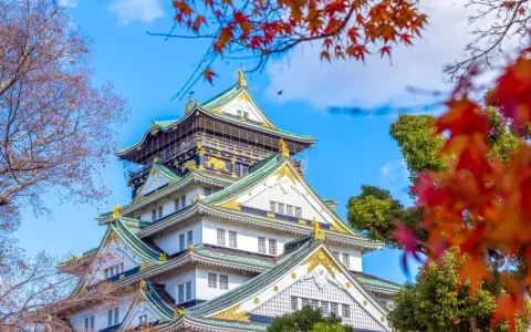 Zamek Osaka w jesiennej odsłonie, otoczony kolorowymi liśćmi klonu. Jedno z najpiękniejszych miejsc w Japonii.