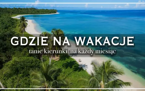 Rajska plaża z palmami i turkusową wodą. Idealne miejsce na odkrywanie popularnych kierunków na wakacje.