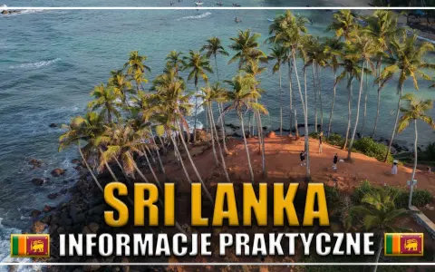 Palmy nad oceanem, widok na wybrzeże Sri Lanki. Informacje praktyczne dla podróżujących na lotnisko Sri Lanki.