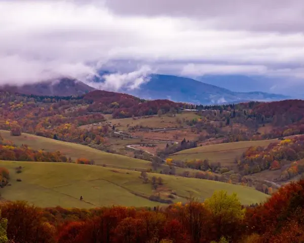 Bieszczady czy jest bezpiecznie? Odkryj zagrożenia i porady dla turystów