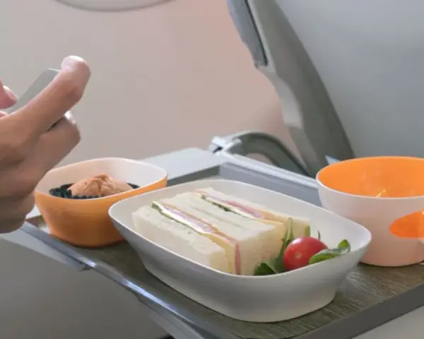 Na tacy w samolocie kanapki, deser i napój. Czy w bagażu podręcznym można mieć jedzenie? Tak, jak widać na zdjęciu.