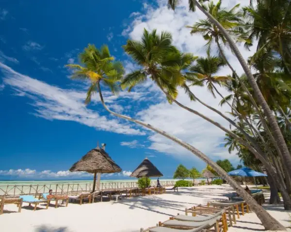 Ile trwa lot z Poznania na Zanzibar? Zaskakujące czasy przesiadek
