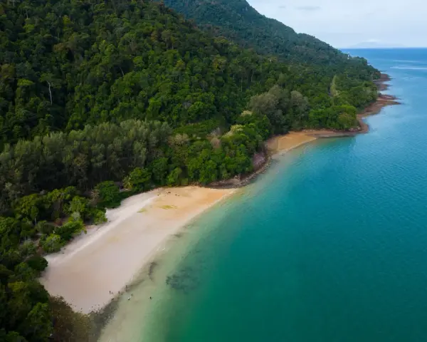 Zielona, gęsta dżungla schodzi do piaszczystej plaży na wyspie Langkawi. Turkusowe morze delikatnie faluje przy brzegu.