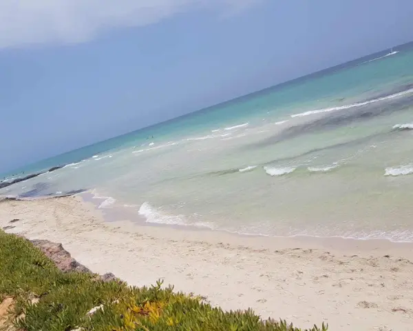 Piękne, piaszczyste djerba plaże z turkusową wodą i zieloną roślinnością.