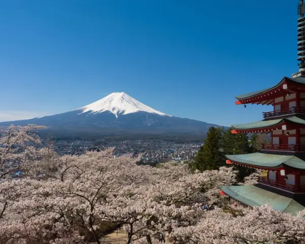 Widok na najwyższy szczyt Japonii, górę Fudżi, otoczoną kwitnącymi wiśniami i tradycyjną pagodą.