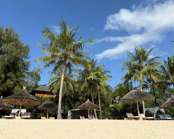 Rajska plaża na Zanzibarze z palmami, leżakami i słomianymi parasolami. Idealne miejsce na wymarzone wakacje.