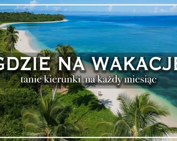 Rajska plaża z palmami i turkusową wodą. Idealne miejsce na odkrywanie popularnych kierunków na wakacje.