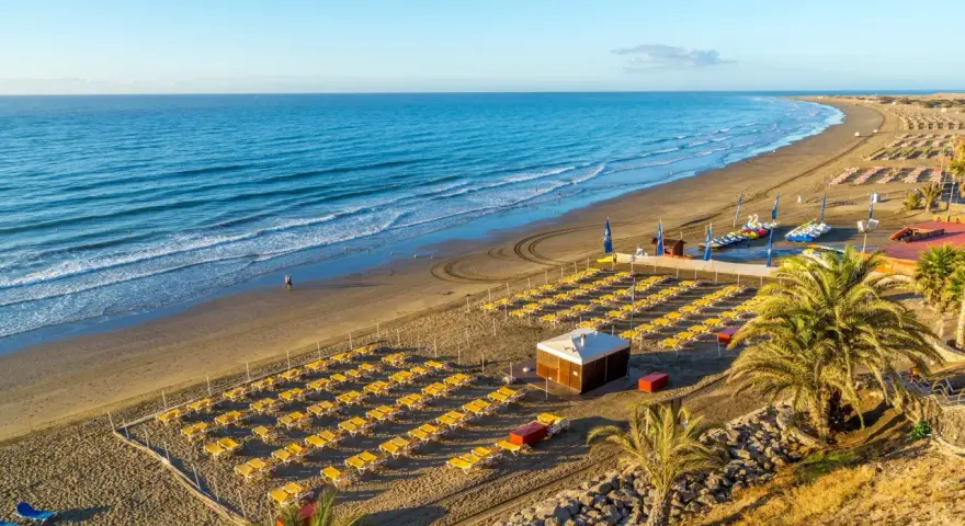 Plaża z rzędami żółtych leżaków, palmami i turkusowym morzem w słoneczny dzień.