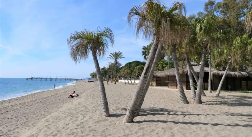 Plaża w Marbelli z palmami, piaskiem i budynkiem z krytym strzechą dachem. W oddali widać molo i błękitne morze.