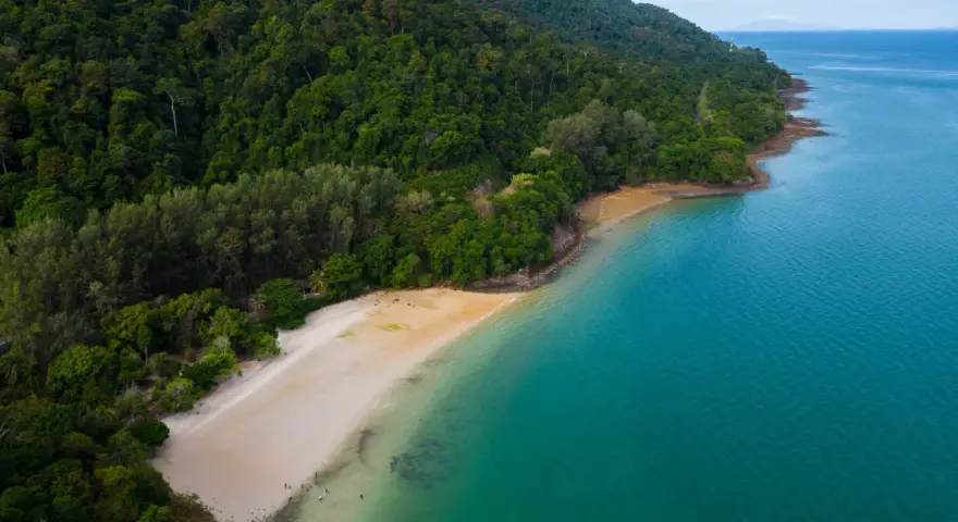 Zielona, gęsta dżungla schodzi do piaszczystej plaży na wyspie Langkawi. Turkusowe morze delikatnie faluje przy brzegu.
