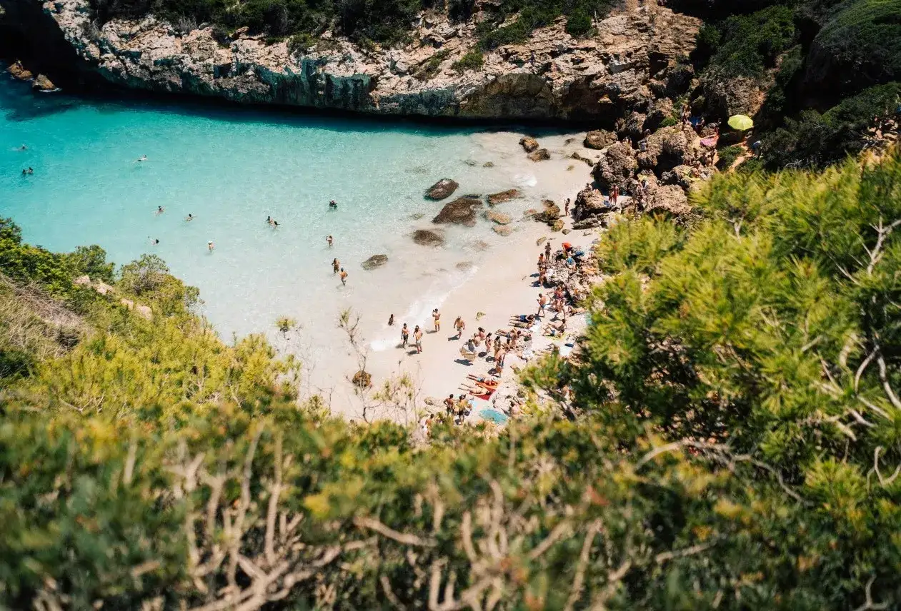 Słoneczna majorka plaże tętnią życiem. Ludzie kąpią się w turkusowej wodzie i odpoczywają na piasku, otoczeni skalistymi klifami i zielenią.