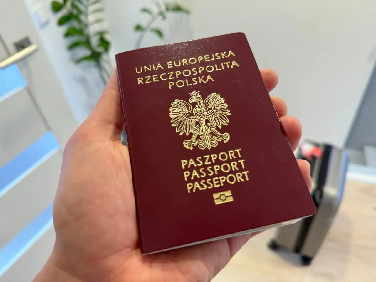 Dłoń trzyma polski paszport, gotowy do podróży. To nie jest paszport USA, lecz dokument Unii Europejskiej.