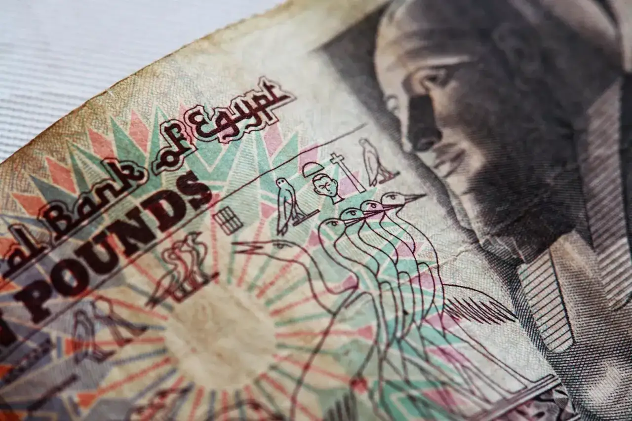 Egipskie funty, a nie dolary, to waluta, którą warto mieć na wycieczce do Egiptu. Widok banknotu z portretem faraona i hieroglifami.