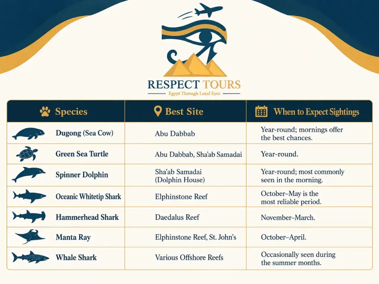 Tabela z Respect Tours: na co uważać w Marsa Alam, by zobaczyć dugonie, żółwie, delfiny, rekiny i manty.