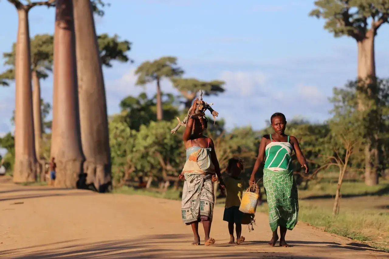 Zdjęcie Czy na Madagaskarze jest bezpiecznie? Odkryj zagrożenia i porady