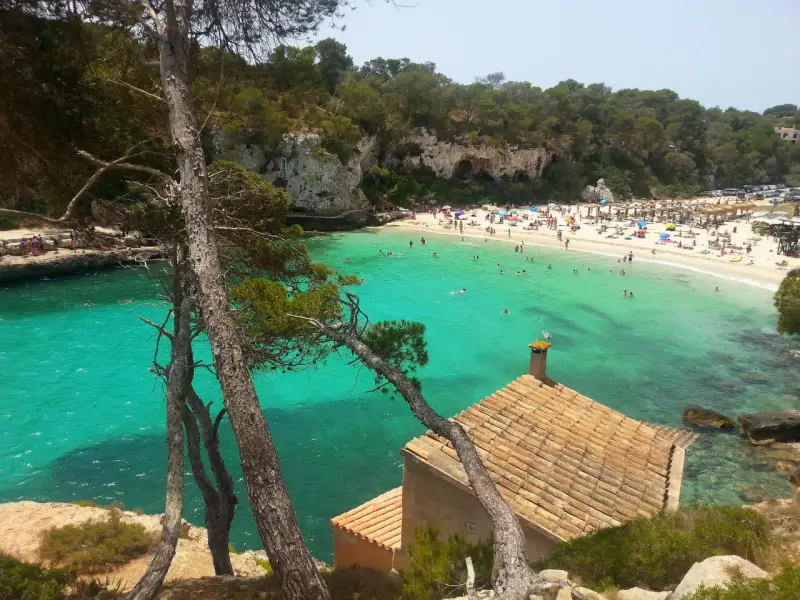 Malownicze majorka plaże z turkusową wodą, skalistymi klifami i sosnami. W oddali widać tłumy plażowiczów i mały domek z ceglanym dachem.