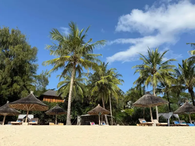 Rajska plaża w Tanzanii, idealna na wakacje. Marzysz o słońcu i palmach? Wiza do Tanzanii czeka!
