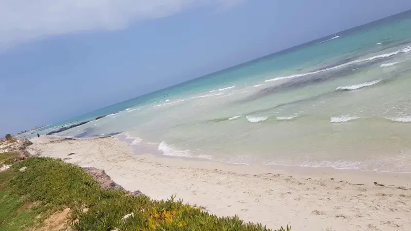 Piękne, piaszczyste djerba plaże z turkusową wodą i zieloną roślinnością.